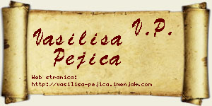 Vasilisa Pejica vizit kartica